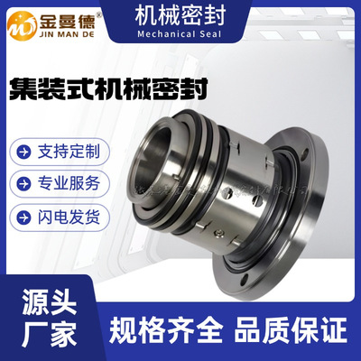 现货DT双端面机械密封件