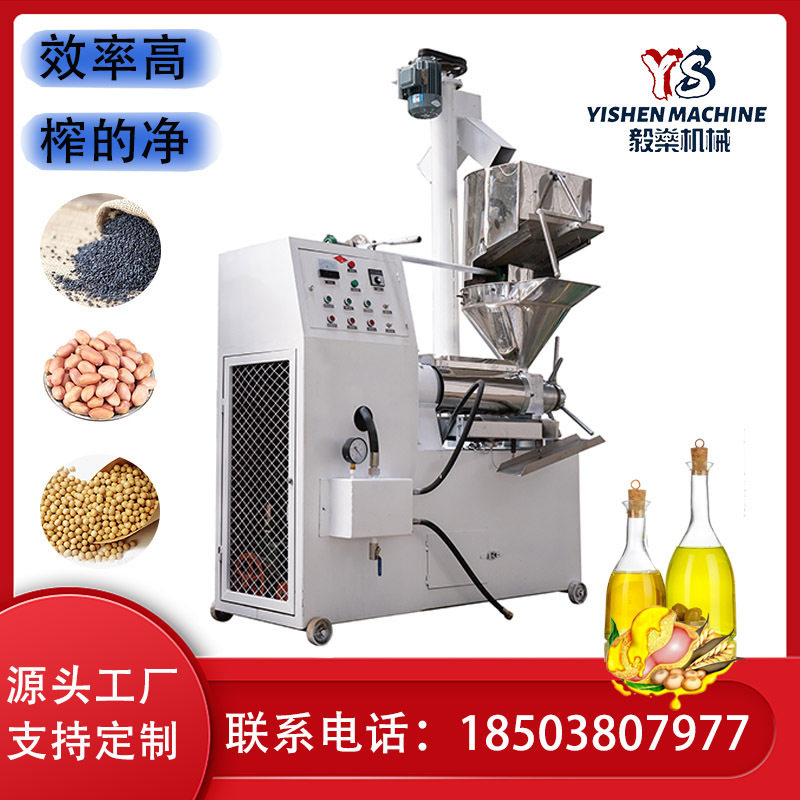 全自动商用芝麻压油机 大型茶籽榨油机 不锈钢菜籽葵花籽油榨油机