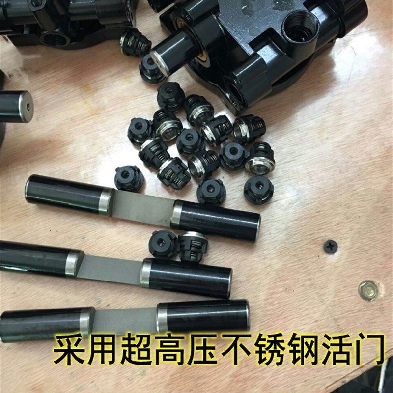 12V24V48V60V电动直流高A压洗车机小型车载电瓶清洗泵自动回流水