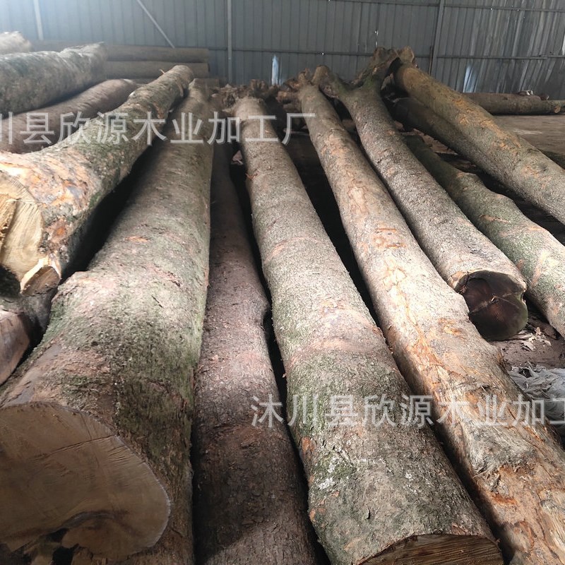 四川金丝楠木加 工 小叶桢楠阴沉木乌木 金丝楠W原木家装材料