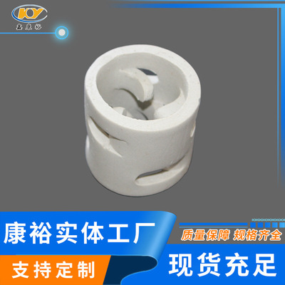 陶瓷鲍尔环散堆填料50/80/100mm