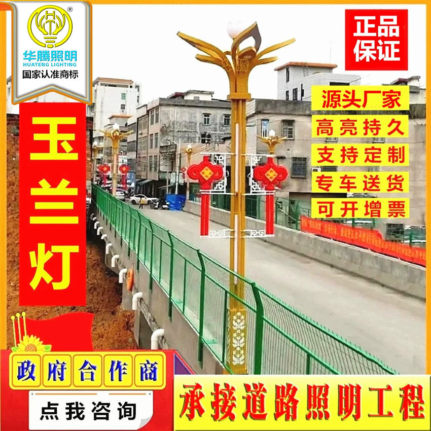 中华灯玉兰灯庭院灯路灯杆直杆户外亚克力灯罩高杆灯 led路灯灯头