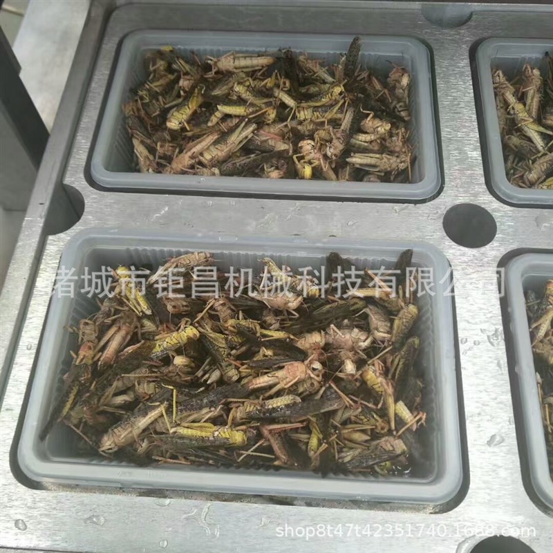 果蔬鲜肉真空保鲜封口机 盒式充气包L装机 快餐锁鲜封盒机