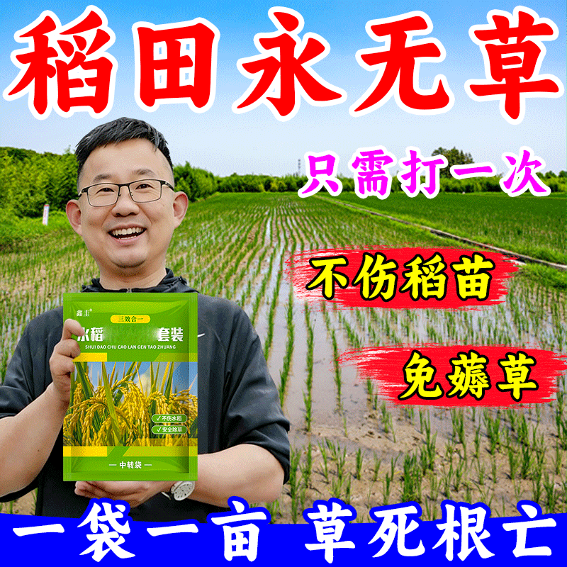 水稻苗后专用打草不伤苗稗草千金子牛筋草水花生水稻直播田杂草
