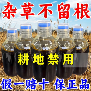 正品铁路公路除草烂根剂杂草一扫光三年不长草专用渗透剂开荒神器