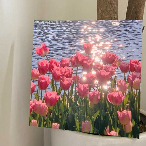 郁金香数字油画手工画饰diy填充花卉油彩画填色涂色装画风景手绘