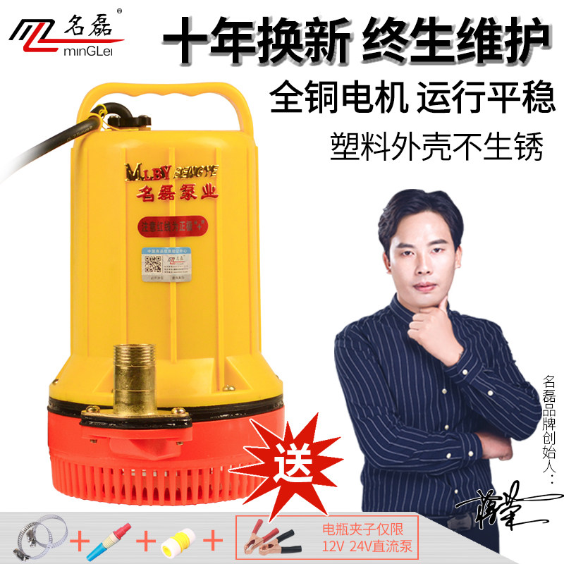 48V2泵V1流V直2潜水4 塑料外壳电动车水泵 浇菜地灌溉抗旱抽水机
