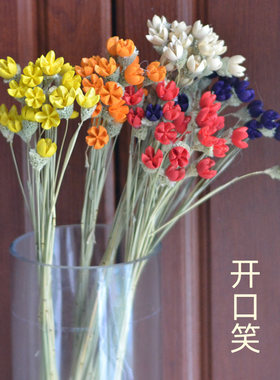 厅邮开口笑干饰花束百搭摆饰装花花开心果18支束客包装饰田园摆件