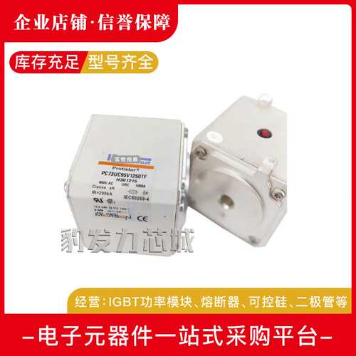 PC32UD69V400EF V300168 PC32UD69V450EF W300169熔断器