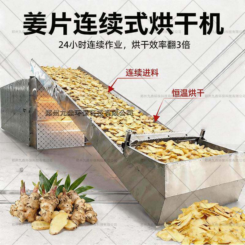 姜片连菊续式烘干机链条式材野花蔬菜卜条萝水果片烘干设备