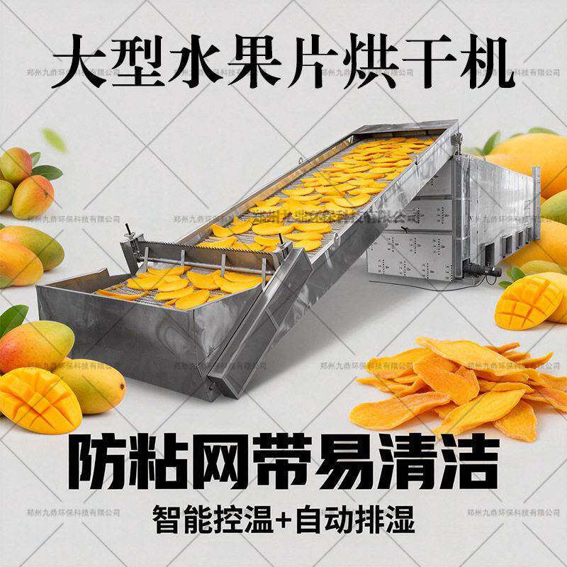 大型水果果片烘干机空气能热泵网带片式烘干果脯芒网带烘干机