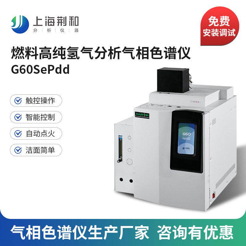 荆和燃料氢能源分析仪G60SePdd纯氢气分析气相色谱仪