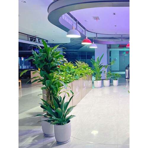 现代简约创意花箱绿植阳台园艺月季花篮户外