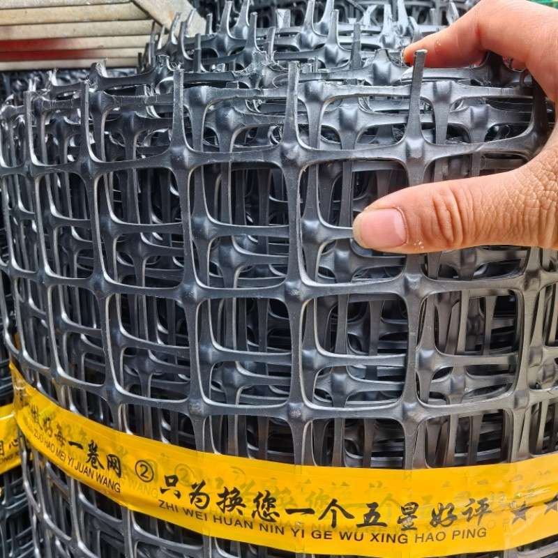 养殖网黑色塑料网小孔养鸡鸭网户外围栏网圈山围地菜园围网圈玉米
