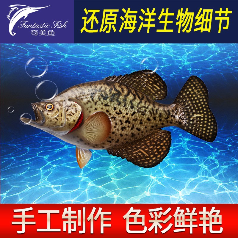 废物鱼模a型海洋工艺品半边玻璃钢雕塑墙壁挂仿真鱼模型室内装饰