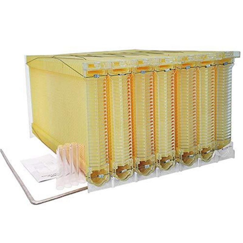 出口型热销蜂具7PCS自流蜜巢础蜂脾自流蜜蜂Q箱自动取蜜塑料巢础