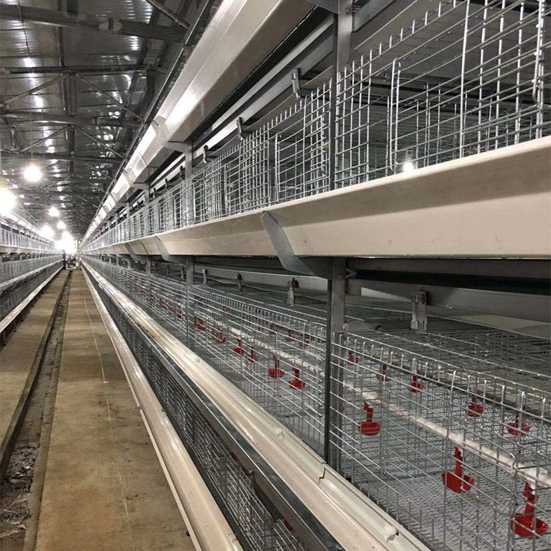 青年鸡养殖鸡笼钢丝立式自动x化养殖设备全自动养鸡笼鸽子笼鹌鹑