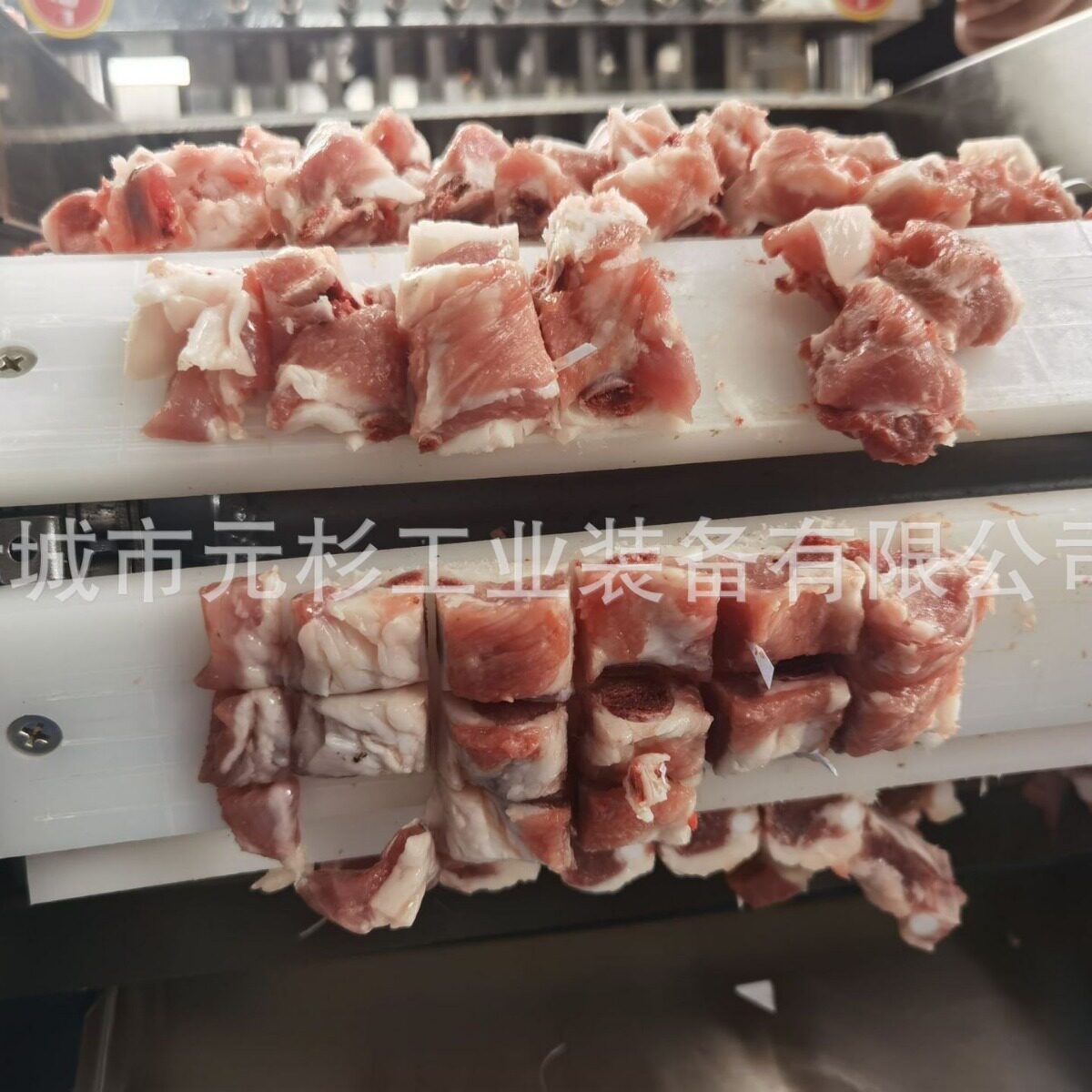 全自动小型整鸡切块机黄焖鸡块切块机商用整鸭切块机