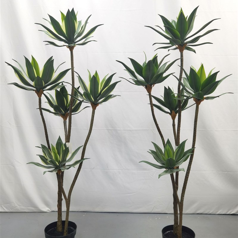 仿真龙舌兰多头仿真宝莲多肉植物带霜手感树室内装饰.盆栽假绿植