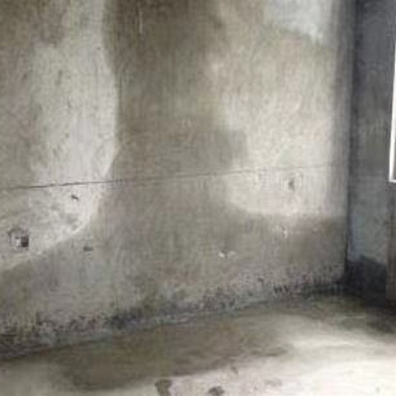 一楼车库地下室地面墙面防潮液防水防霉材料抗Q渗潮湿涂料渗水返
