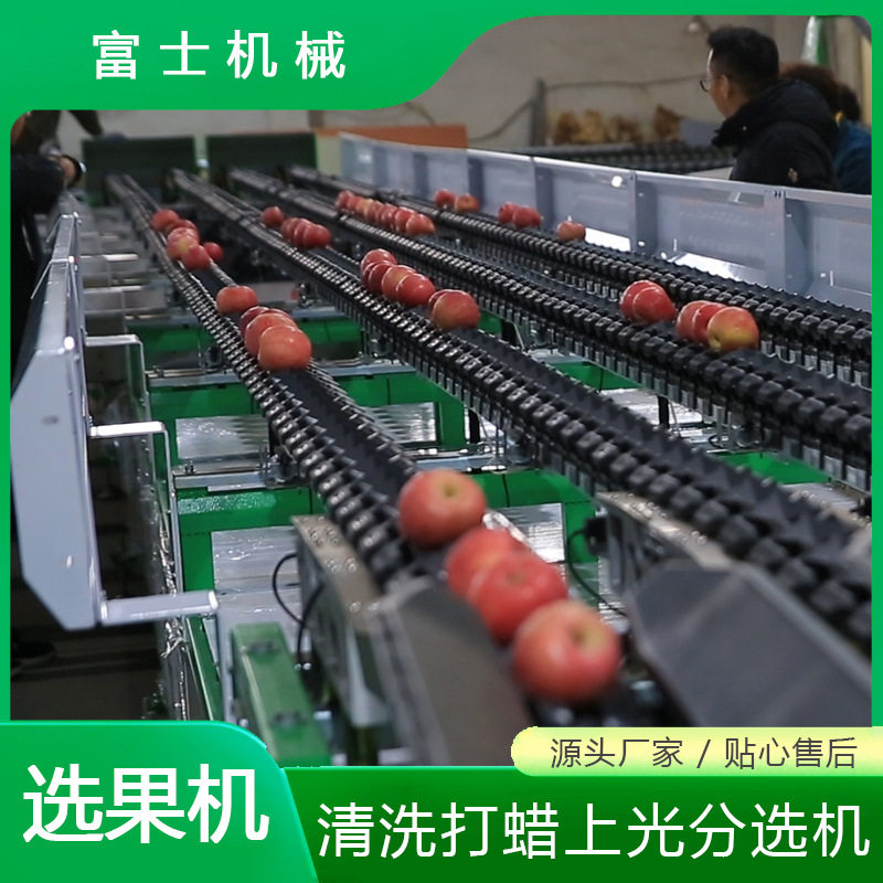 数控全自动选果机触屏3吨/时