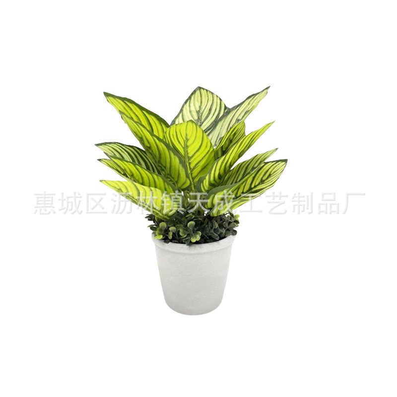 仿真虎皮兰假绿植盆p景花艺摆件办公室桌面迷你仿真植物盆景