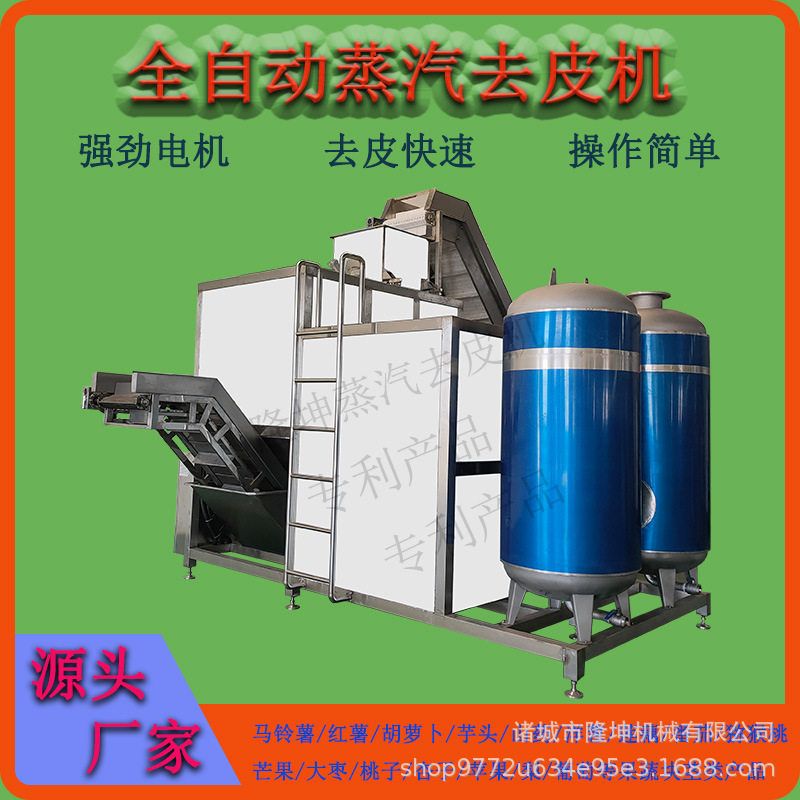 大型葡萄蒸汽去皮机 黄桃白桃高温烫皮机 全自动土豆红薯去皮设备