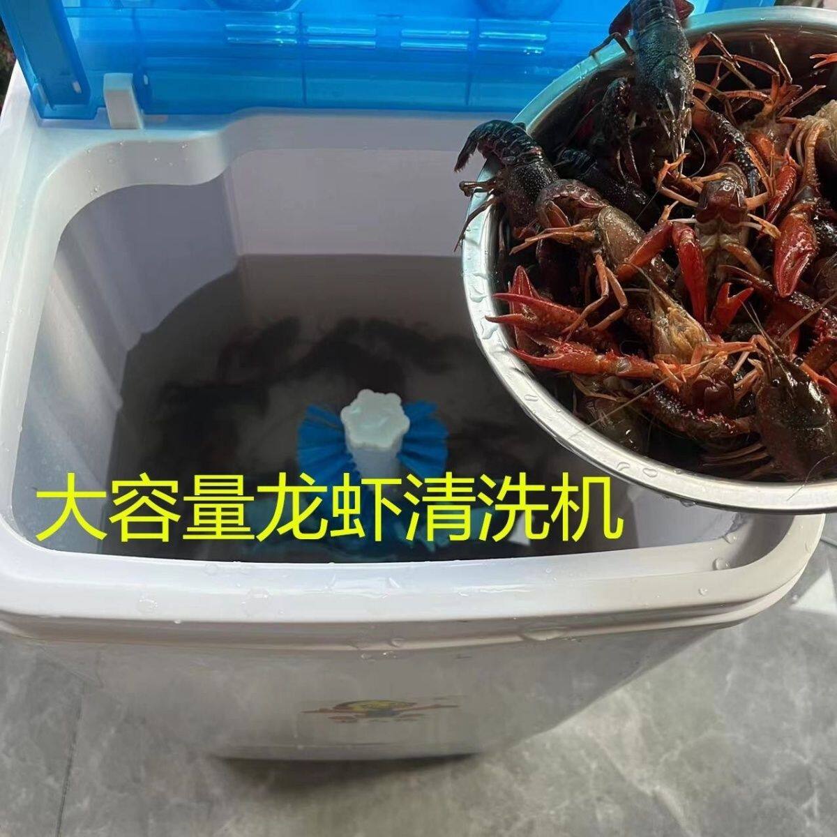 洗小龙虾神器清洗机全自动夜市餐饭馆防手刷洗小龙虾机器