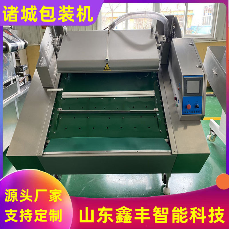 DZ-1100双封条滚动真空包装机