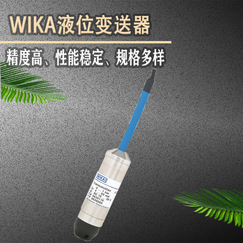 WIKA投入式压力/液位变送器
