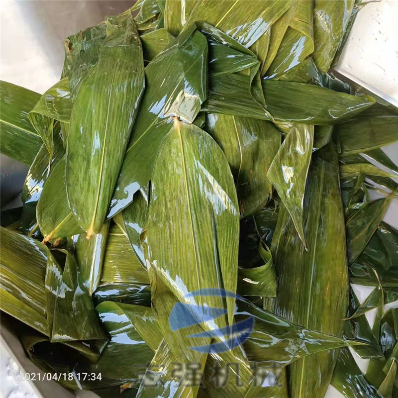 全自动粽叶高压喷淋毛辊清洗机
