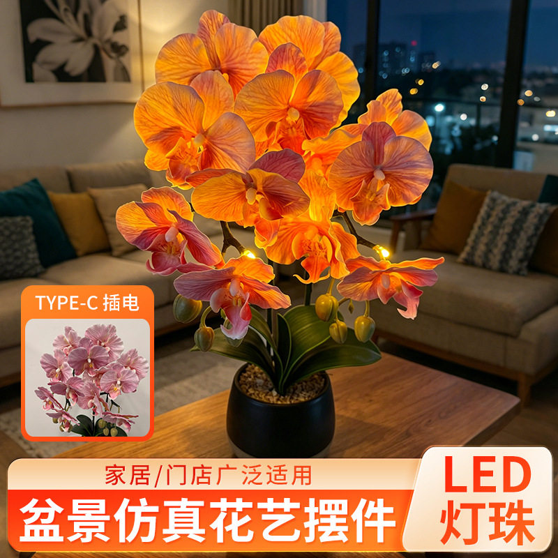 2支蝴蝶兰配双色陶瓷罐家居装饰触摸开关台灯夜灯样板房装饰花灯