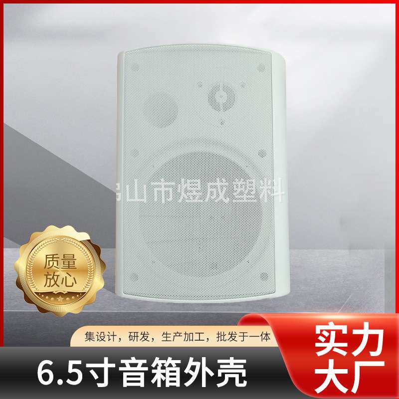 ABS材质定压扬声器音箱外壳 6.5寸广播音箱空箱 装有源副箱塑料壳