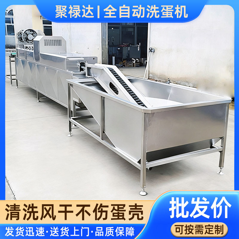 咸鸭蛋加工前段洗蛋机 不锈钢蛋类洗蛋机 养殖场禽蛋清洗流水线