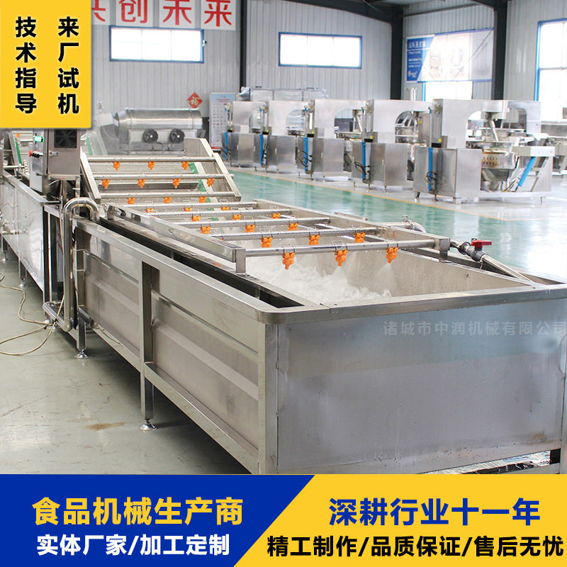 商用喷淋式果蔬清洗机成套设备
