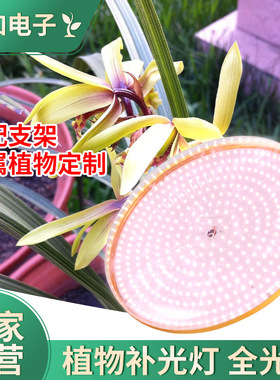 花款上市兰新兰草室内80W补光灯全光谱led灯温室生棚绿植大长灯