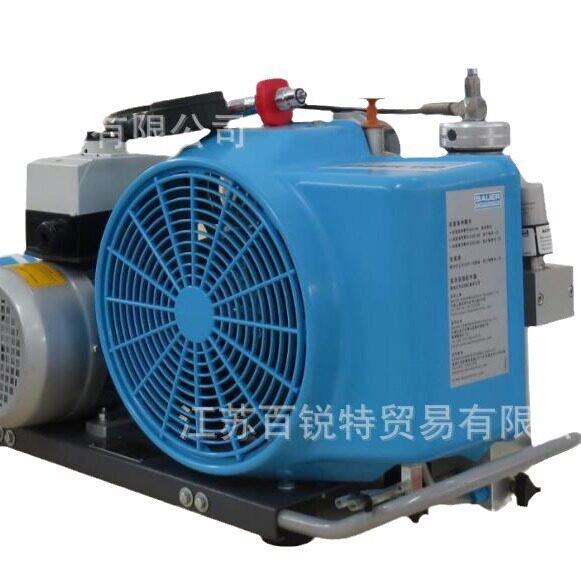 德国宝华BAUER 100TE呼吸空气压缩机 BAUER 100充气泵填充泵现货