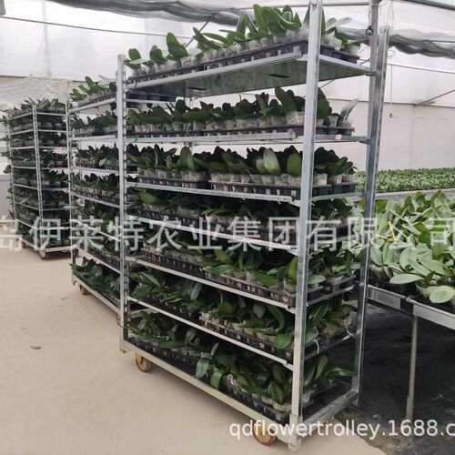 厂家供应镀锌育苗芽车