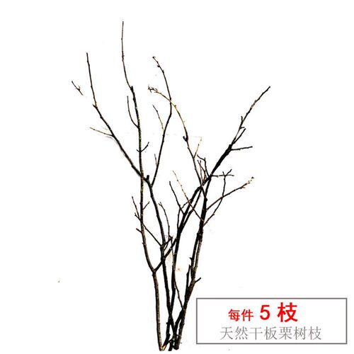 叉树枝意饰禅装干枝花装饰家居摆设干枝插花枯枝干树枝分干艺术