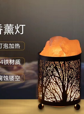 水树盐灯卧室薰ns少女床头灯 喜马拉雅创意铁艺晶影装饰台灯香i灯