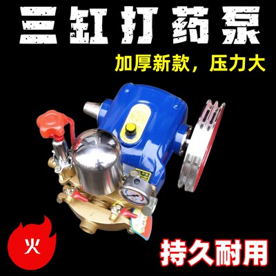 三缸柱塞泵打药机自吸水泵保时捷高扬程果树喷雾器农用高压泵雾炮
