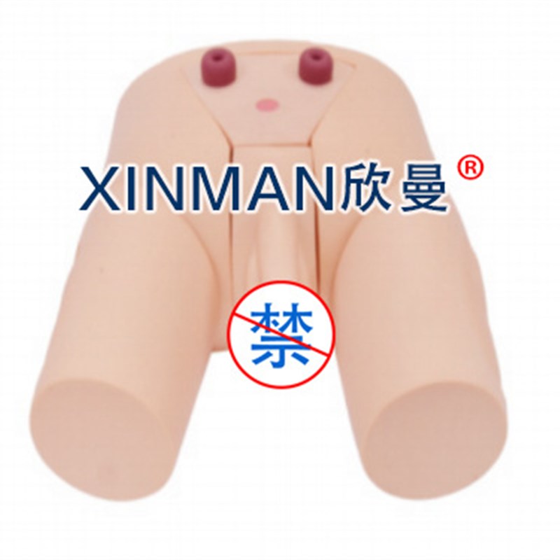 性病检查操作模型