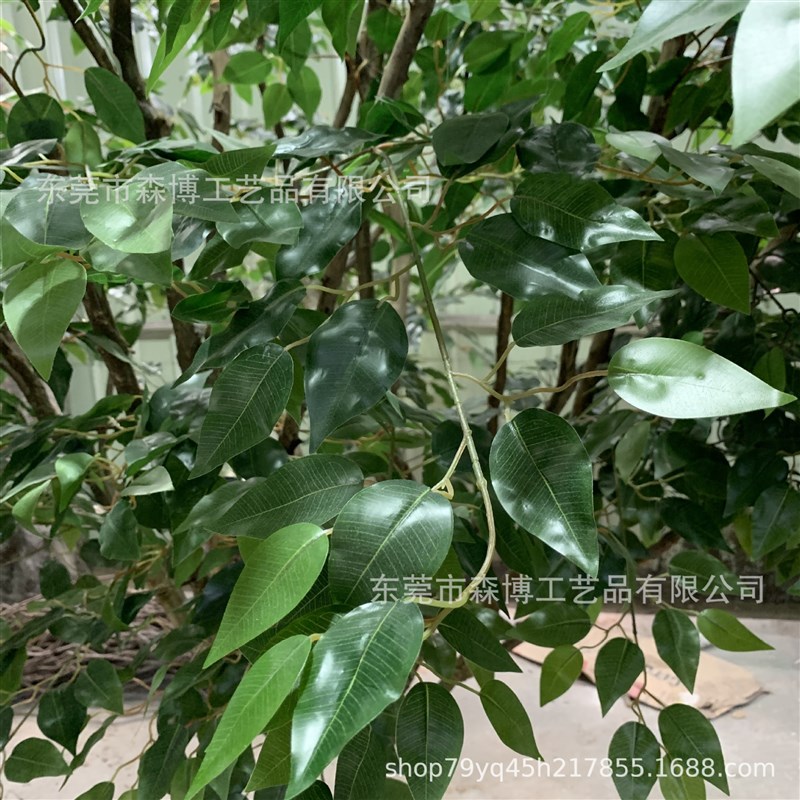 仿真植物小榕树 水n泥玻璃钢拆装古榕树 吧台餐馆仿真银杏树摆件