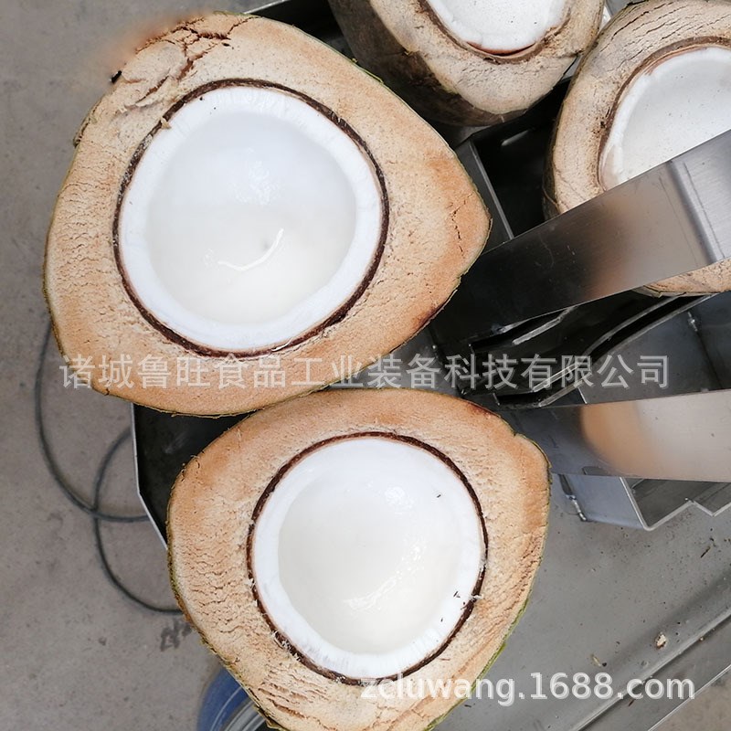 老椰子开半切开器 老椰子椰汁收取自动分切机 黄皮椰壳切割机