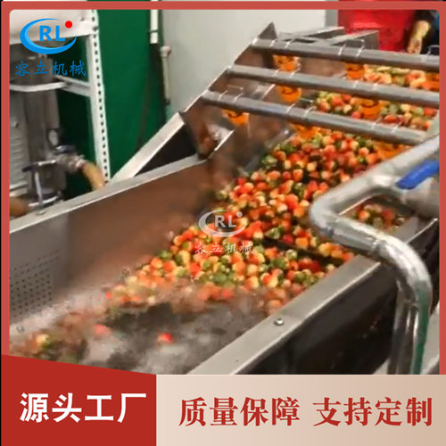 厂家销售百香果清洗机鼓泡式龙眼荔枝清洗设备全自动柠檬清洗机