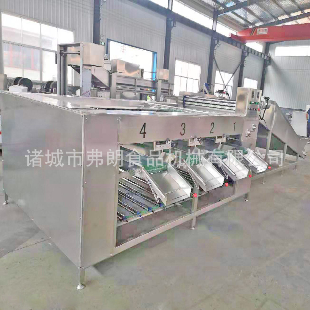 不锈钢水果滚杠分级机厂家