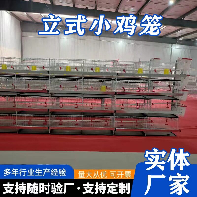 小鸡笼育雏鸡笼养殖场专用四层一体式脱温雏鸡笼鸡苗肉鸡笼厂设备