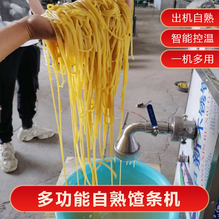 天诚牌自动升温自熟红薯面条机
