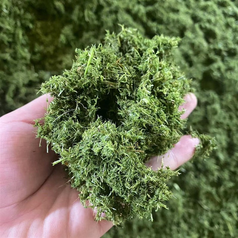 新款牧草精细打浆机 香草皇竹草粉碎打浆K机 干湿两用秸秆细粉机