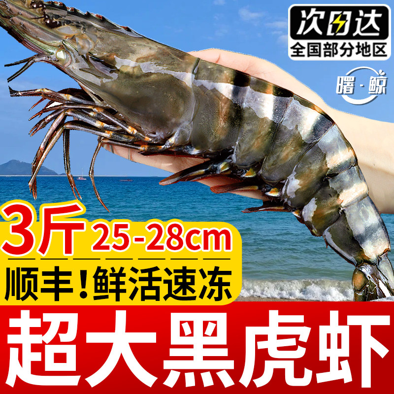 黑虎虾超大号3斤 鲜活新鲜冷冻老虎虾鲜活虎虾特大速冻海鲜水产